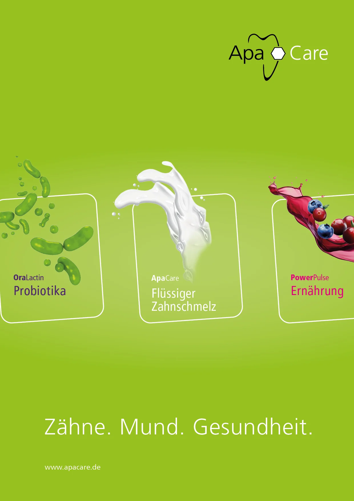 Imagebroschüre in grün
